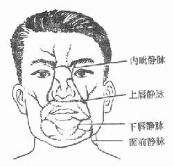 沿Σǡľ